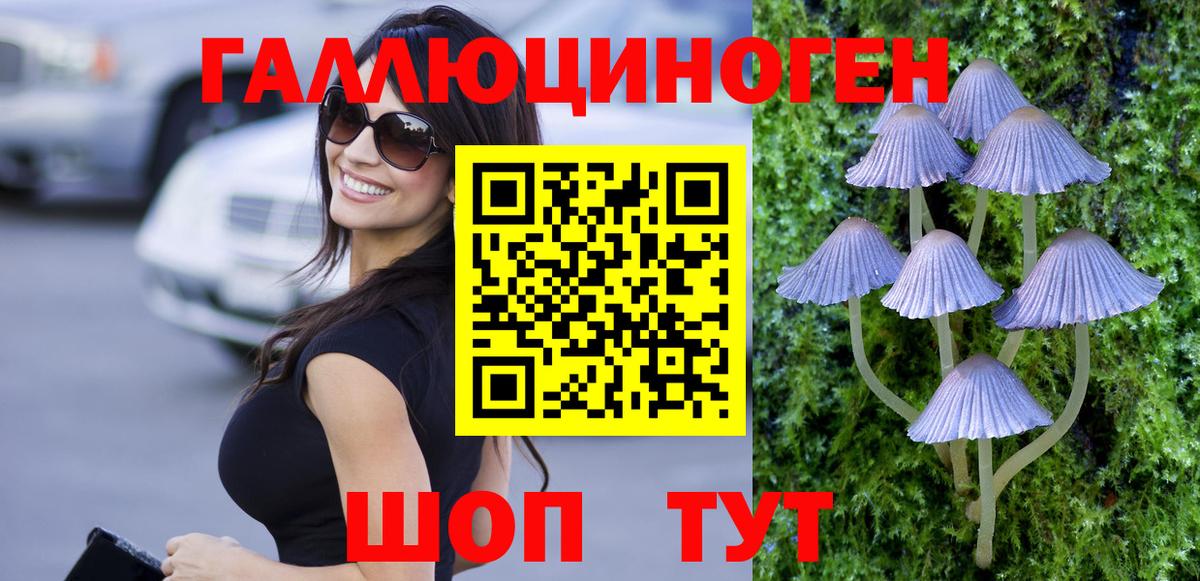 Галлюциногенные грибы мицелий Аша