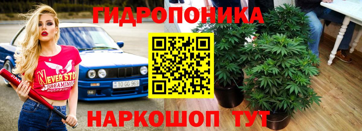 Бошки марихуана план Аша